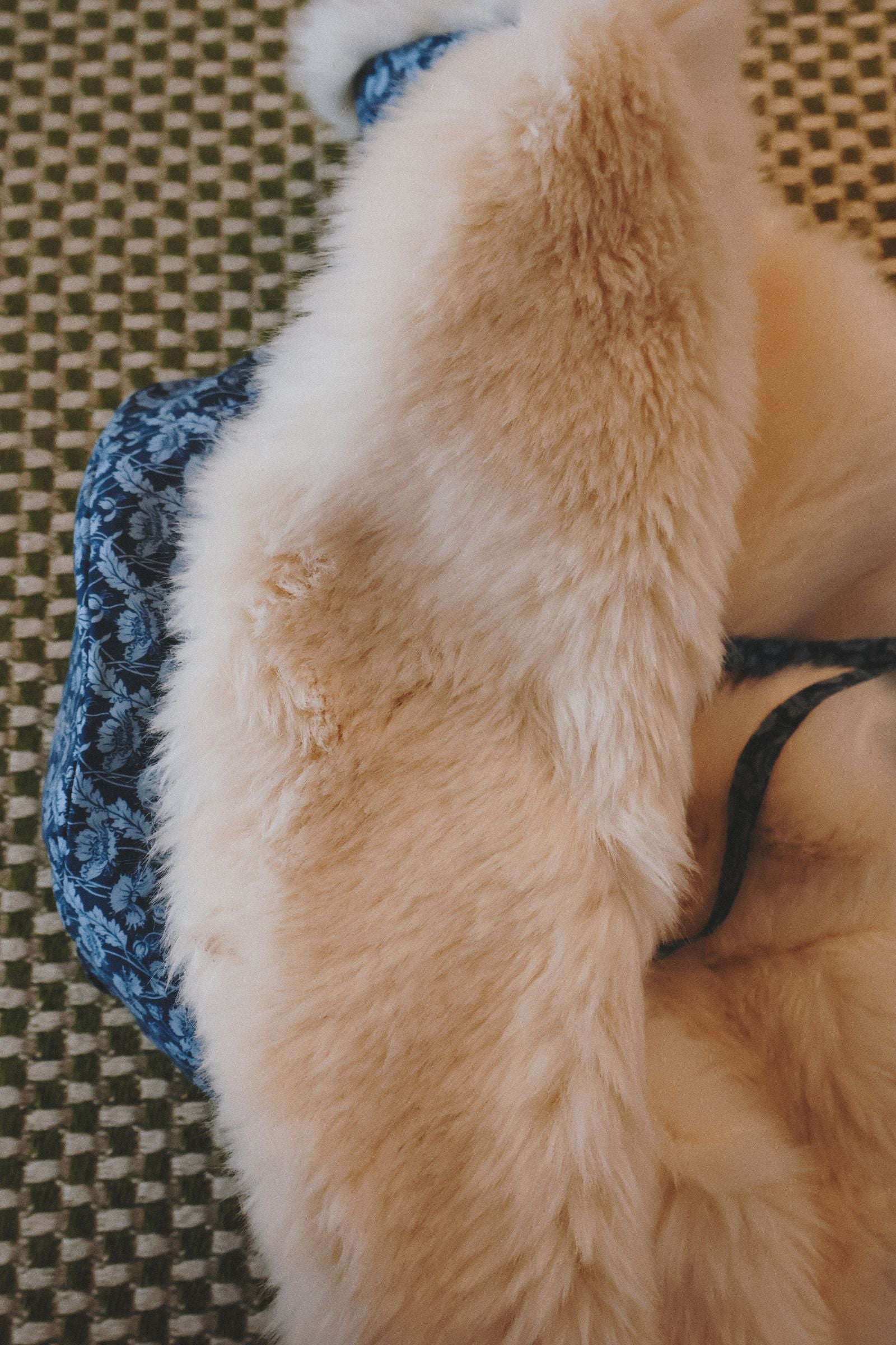 Sombrero Dolomitas - Liberty Flores Azul